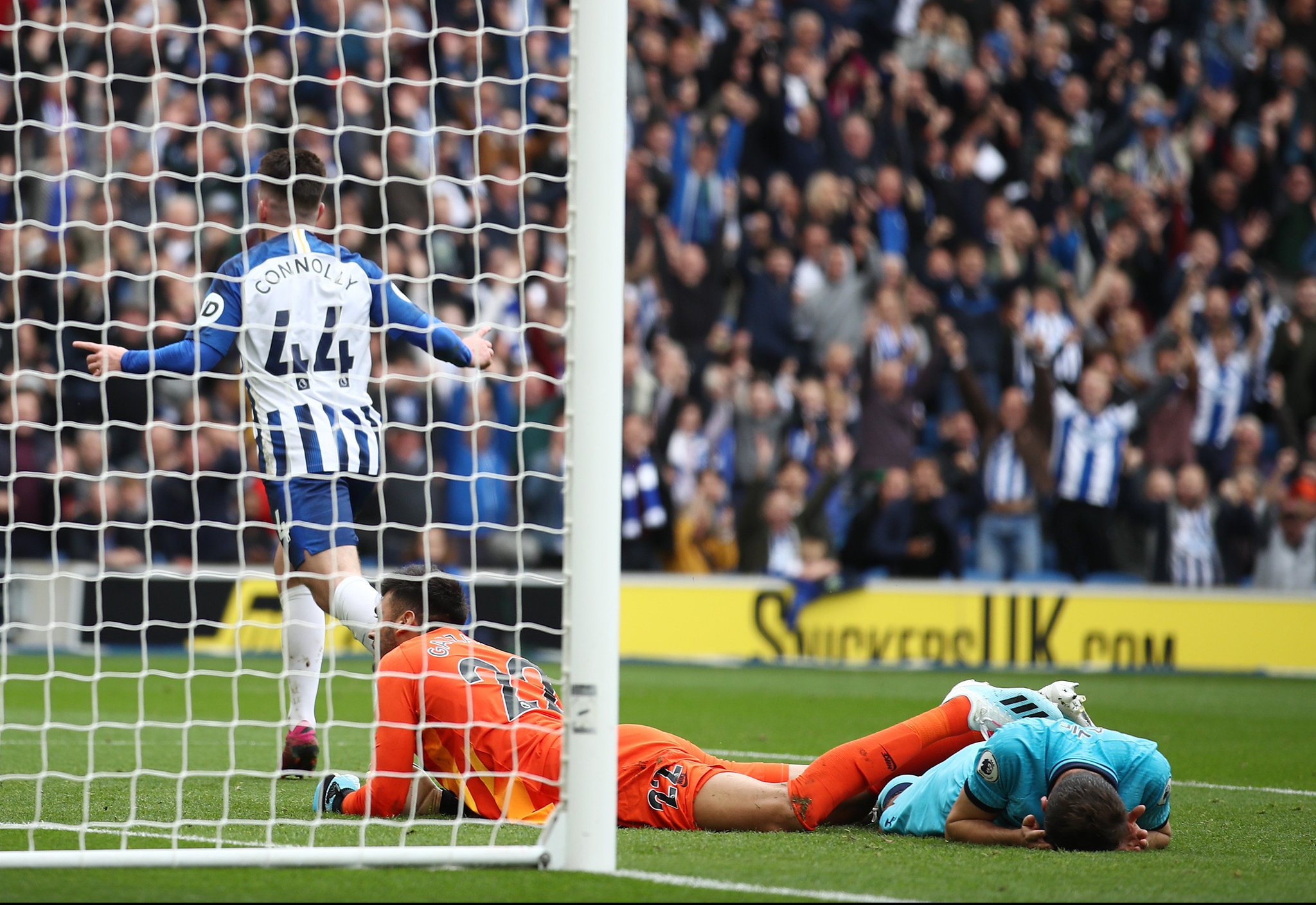 仅意味着一 仅意味着一